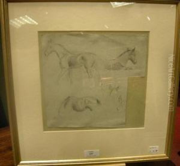 Studies Of A Foal Oil Painting by George Thomas Rope