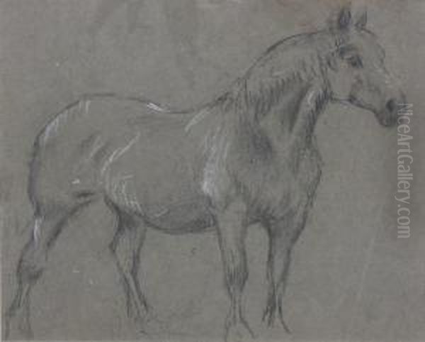 Study Of A Farm Horse; A Horse's Head Oil Painting by George Thomas Rope