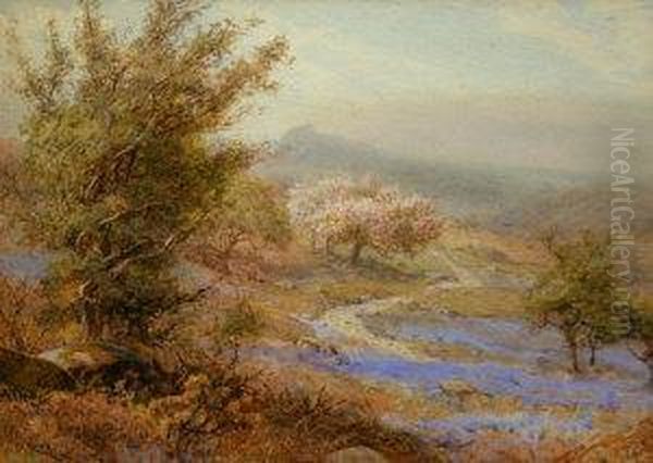 Blue Bells, Dartmoor Near Hayton Oil Painting by S.G. William Roscoe