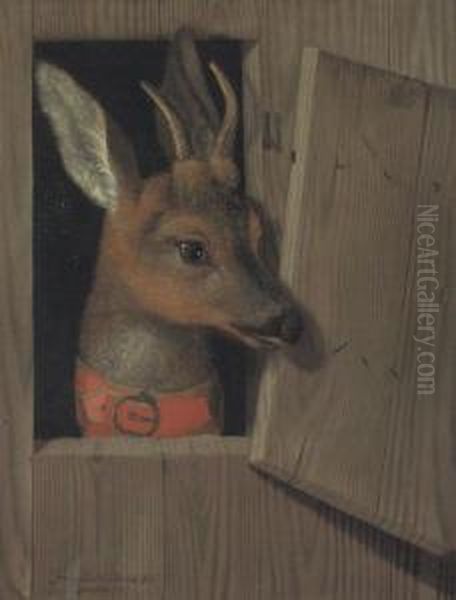 A Deer Looking Out Of A Stable Stall, In A Red Collar Oil Painting by Franz Rosel Von Rosenhof