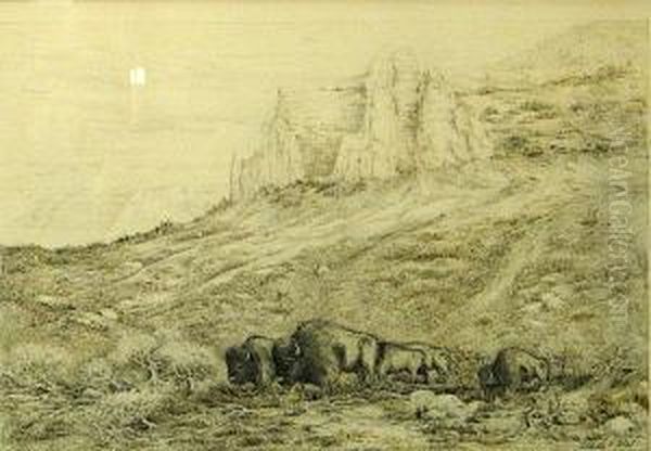 Grazing Buffalo Oil Painting by Ernest C. Rost