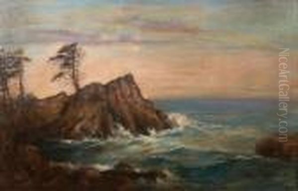 Lone Cypress On The Coast Of Monterey Oil Painting by Andreas Roth