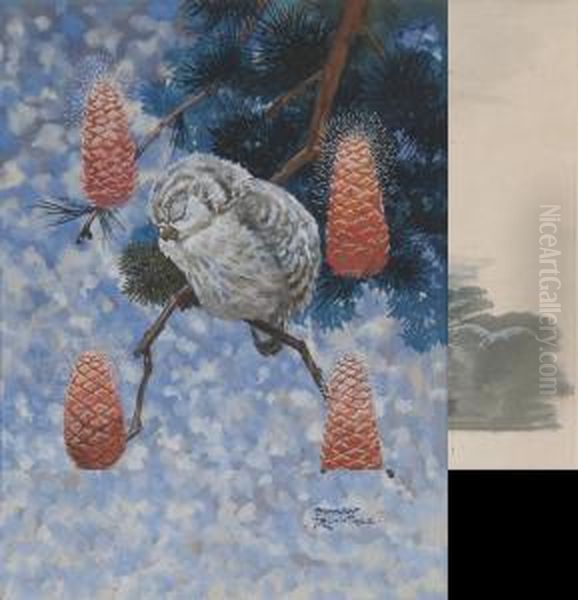 An Owl Resting On A Fir Tree Oil Painting by Harry Rountree