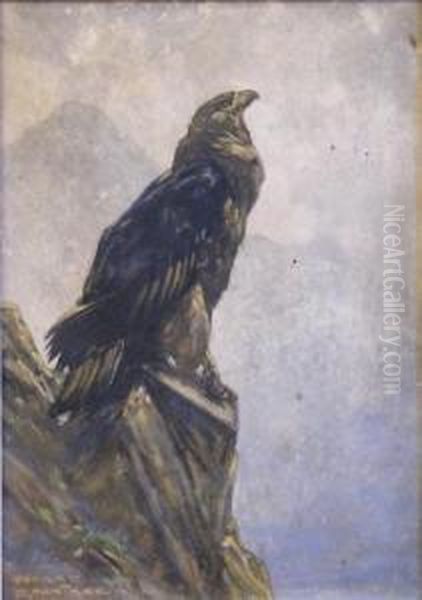 A Mountain Eagle. Oil Painting by Harry Rountree