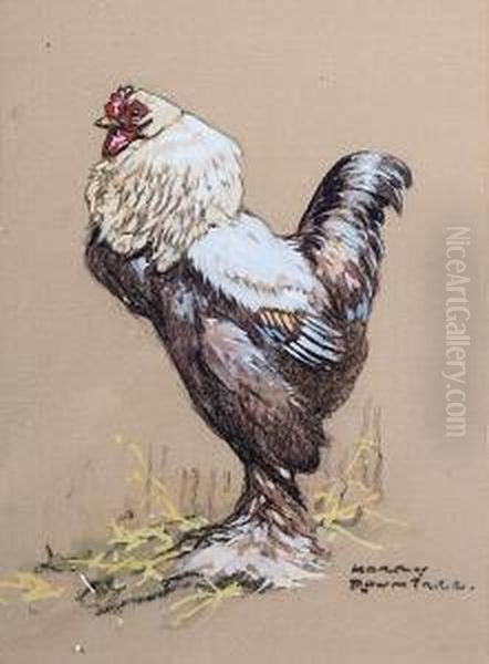 Study Of A Cockerel, Pastel And Gouache,signed Lower Right Oil Painting by Harry Rountree