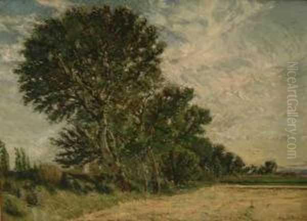 Paysage Aux Grands Arbres Oil Painting by Auguste Louis Roure