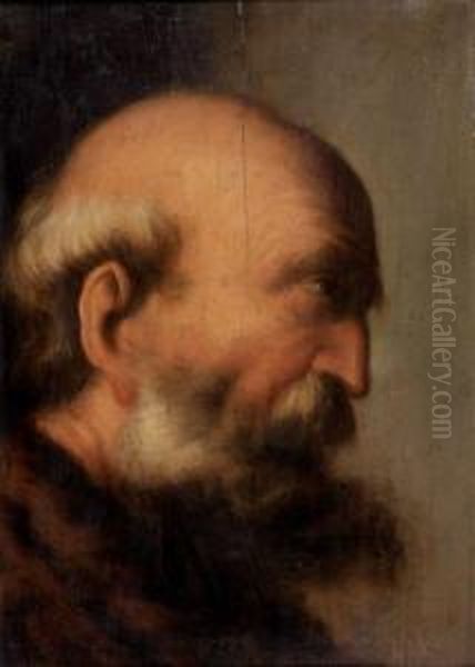 Homme Barbu De Profil Oil Painting by Jacques des Rousseaux