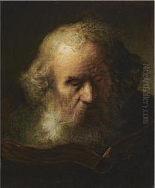 Head Of A Bearded Old Man, Reading A Book Oil Painting by Jacques des Rousseaux