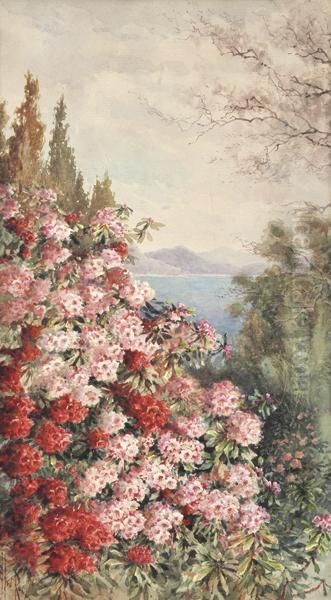 Rhododendrons By The Beach Oil Painting by Marian Ellis Rowan