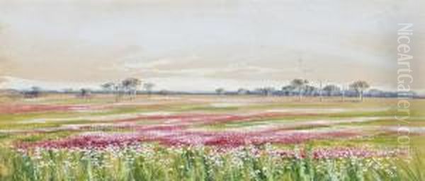 Western Australian Wildflowers Oil Painting by Marian Ellis Rowan