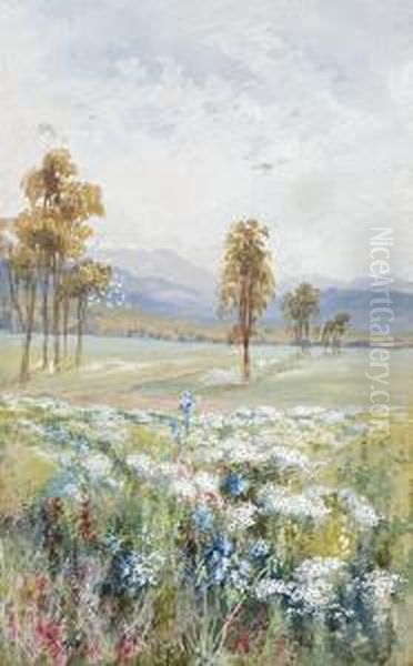 Western Australian Wildflowers Oil Painting by Marian Ellis Rowan