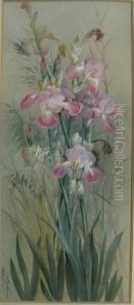 Irises Oil Painting by Marian Ellis Rowan