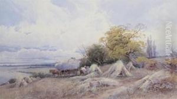 Cornfield Near Exeter Oil Painting by Thomas, Tom Rowden