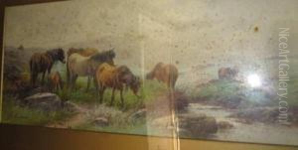 Dartmoor Ponnies Oil Painting by Thomas, Tom Rowden