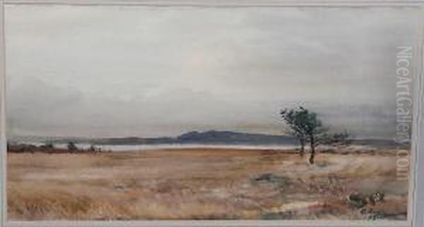 Arne, Dorset Watercolour Oil Painting by Hugh Wright Rudby