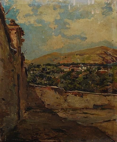 A Yard And Wall, Probably In Southern Spain Oil Painting by Manuel Ruiz Guerrero