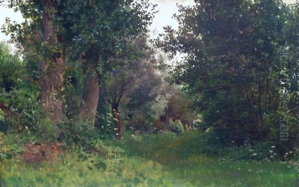 Weidenweg Bei Neubrandenburg Oil Painting by Joseph Rummelspacher