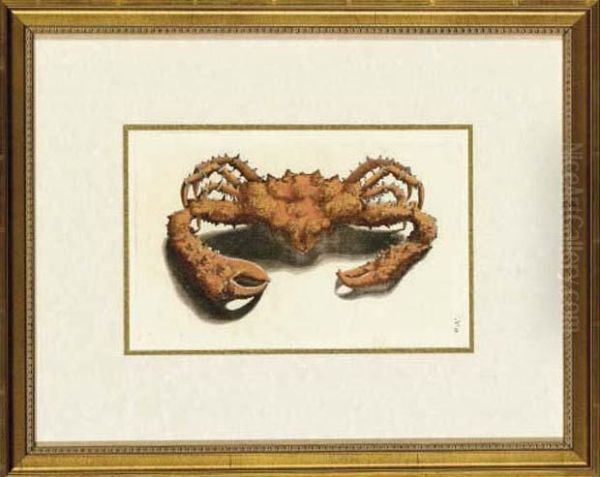 Crabs And Lobsters Oil Painting by Georg Eberhard Rumpf