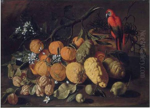 Natura Morta Di Frutta Con Limoni, Arance E Cedri Oil Painting by Giovanni Battista Ruoppolo