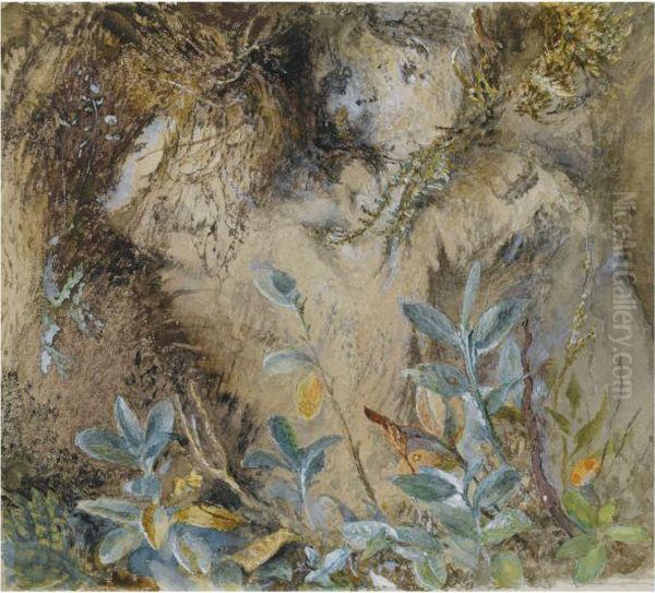 Study Of Plants, Mosses And Ferns Oil Painting by John Ruskin