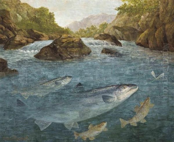 Sea-trout, Brown Trout And A Salmon Rising For A Dragonfly Oil Painting by John Russell