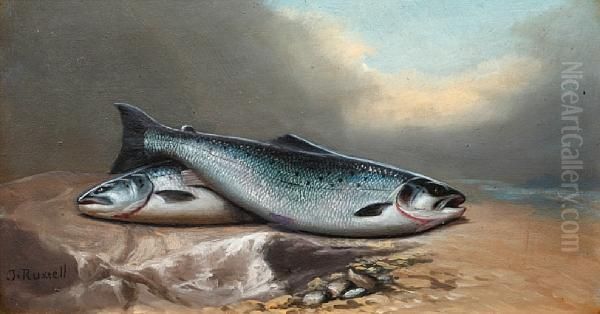 A Brace Of Salmon Oil Painting by John Russell