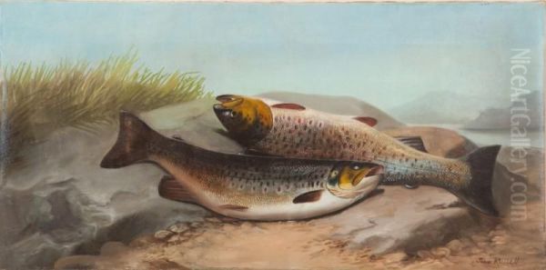 A Brace Of Trout Oil Painting by John Russell