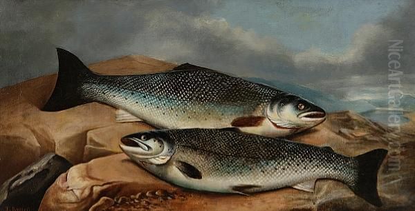 A Brace Of Salmon On A Rock Oil Painting by John Russell