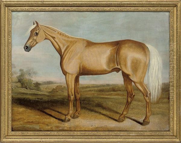 The Racehorse Silvertail Standing In An Extensive Landscape Oil Painting by James Russell Ryott