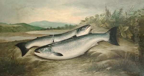 A Brace Of Hen Salmon Oil Painting by Dhuie Russell-Tully