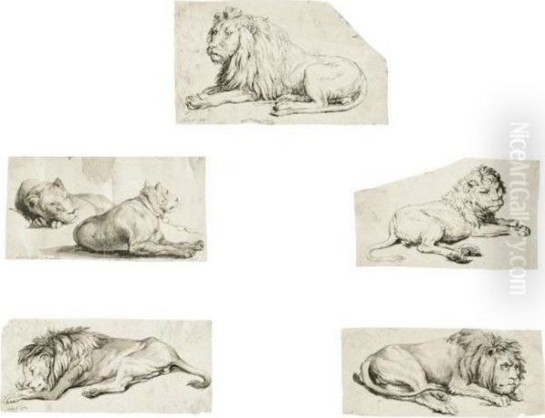 An Album Of Animal Drawings Oil Painting by Charles Reuben Ryley