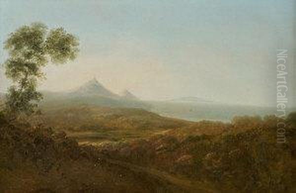 View Of Dublin Bay With The Sugarloaf In The Distance by William II Sadler