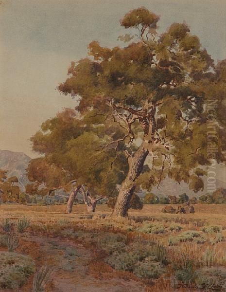 Trees Near Santa Barbara Oil Painting by Norman Saint-Clair