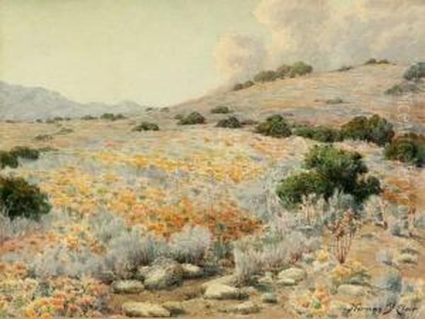 California Hillside With Poppies Oil Painting by Norman Saint-Clair