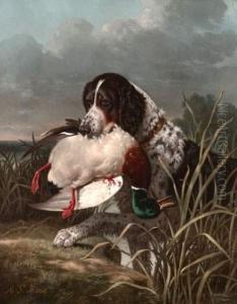 < Retriever Et Canard >. Oil Painting by Alfred Sainte-Marie