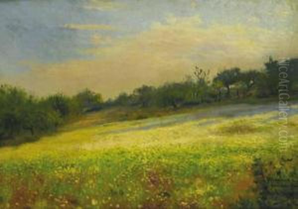 Paisaje Oil Painting by Ernesto Sales De Las Casas