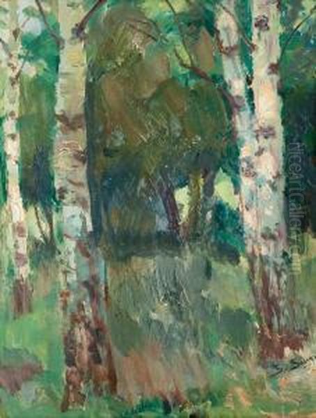 Birch Trees. Oil Painting by Santeri Salokivi