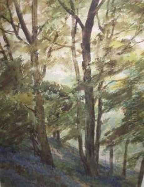 Bluebell Wood Oil Painting by Frank Saltfleet