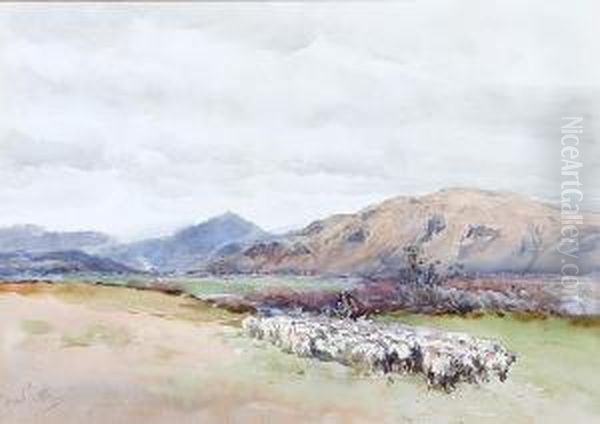 Shepherd And Flock Of Sheep In A Valley Oil Painting by Frank Saltfleet