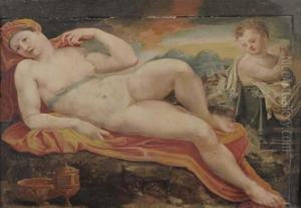 Venus Et Cupidon Oil Painting by Rancesco De' Rossi (see Salviati, Cecchino Del)