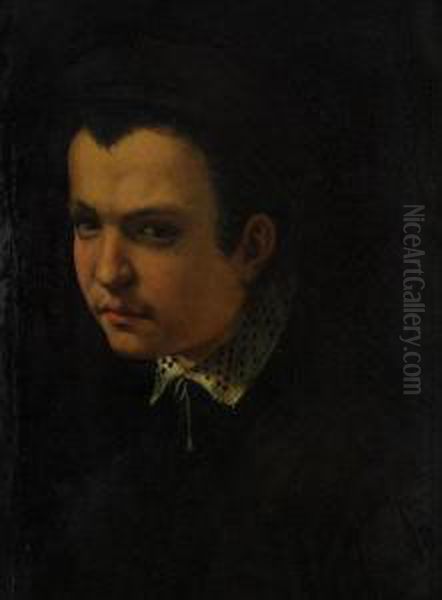 Head Of A Boy 
Wearing A Cap And Lace Collar Oil Painting by Rancesco De' Rossi (see Salviati, Cecchino Del)