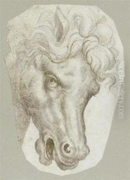 Horse's Head. Oil Painting by Rancesco De' Rossi (see Salviati, Cecchino Del)