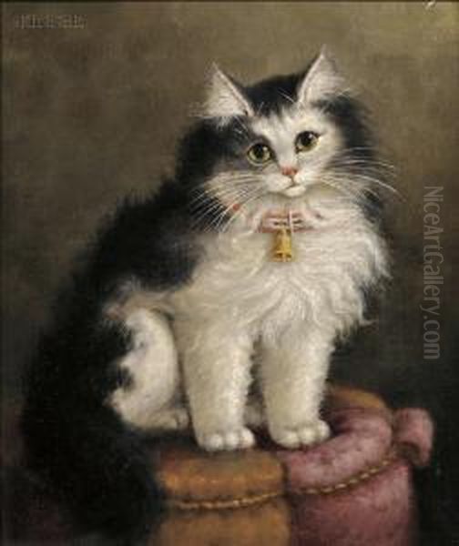 Portrait Of A Cat On A Tuffet Oil Painting by Percy A. Sanborn