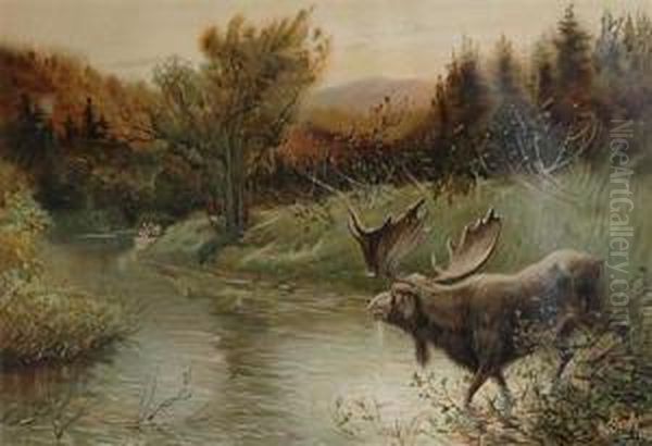 [moose Surprised] Chromolithograph. Oil Painting by Henry John Sandham