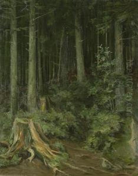 Waldstudie Oil Painting by Hermann Sandkuhl