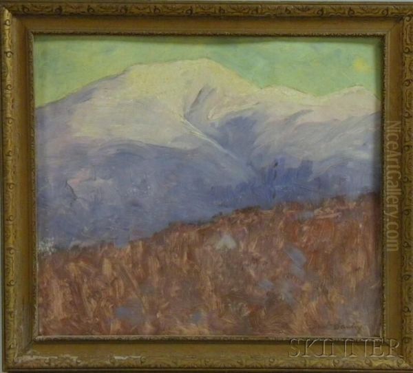 Snowy Mountaintop Oil Painting by Daniel Francois Santry