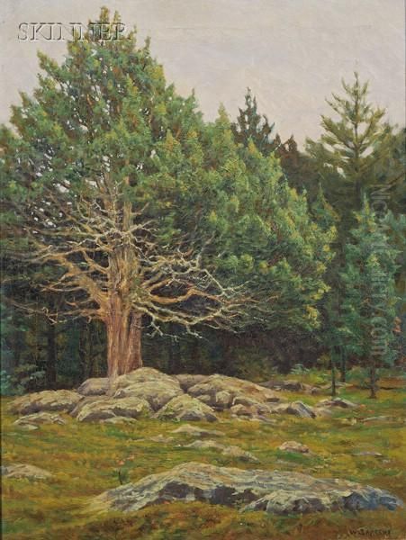 Woodland View, Spring by Walter Sargent