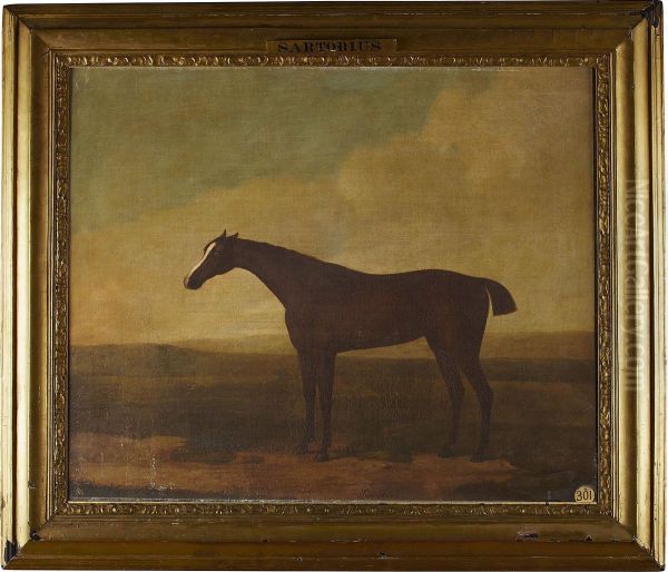 Pumpkin Got By Matchless And Out Of A Suire Mare Oil Painting by J. Francis Sartorius