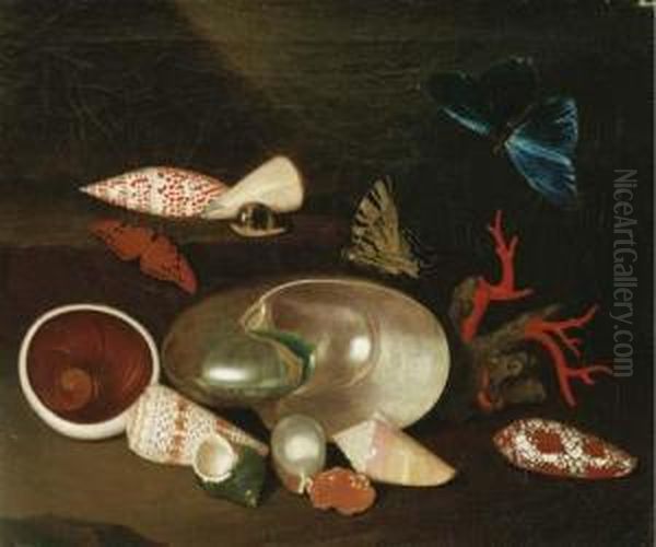 A Still Life Of Shells And Butterflies: A Nautilus, A Horse Conch, A Pearl Oyster, An Atlantic Bubble, A Green Turban, An Alphabet Cone, A Muffin Snail, A Chambered Nautilus, A Gulf Frittillary, A Junonia, A Tiger Cowrie, A Virgin Cone, A Blue Morpho, A L Oil Painting by Philipp Sauerland