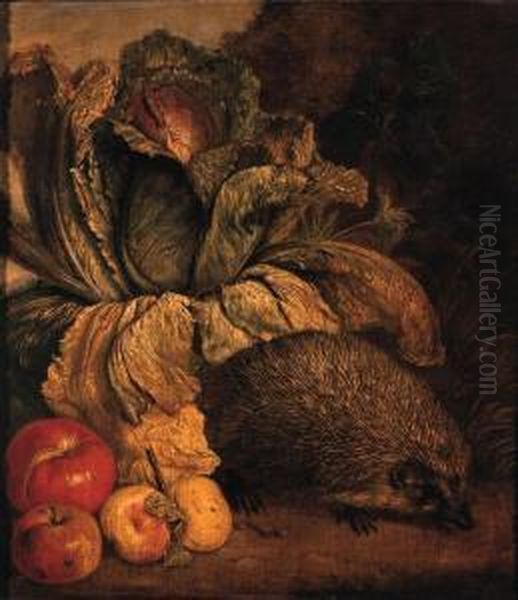 A Hedgehog, A Cabbage And Apples At The Foot Of A Tree Oil Painting by Philipp Sauerland